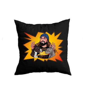 Cojin2 Funda cojín Danirich